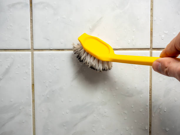 Best Mold Removal Near Me  in Lake Worth, TX