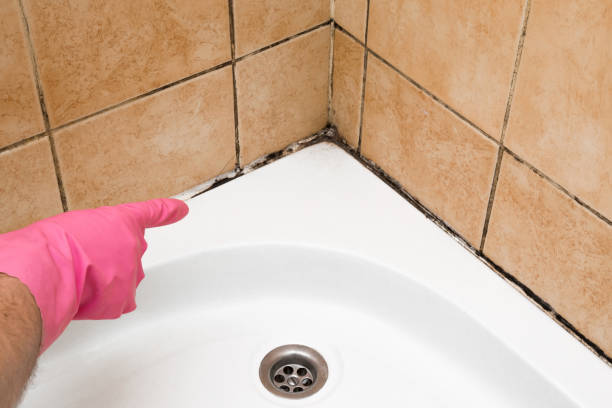 Best Crawl Space Mold Removal  in Lake Worth, TX